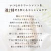 La CASTA ラ・カスタ | Intensive Treatment 150g Intensive Care {
