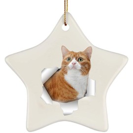 Funny Manx Cat Red Coming Out of Cracked Wall Gifts 2024 Christmas Tree Ornaments Ceramic Star