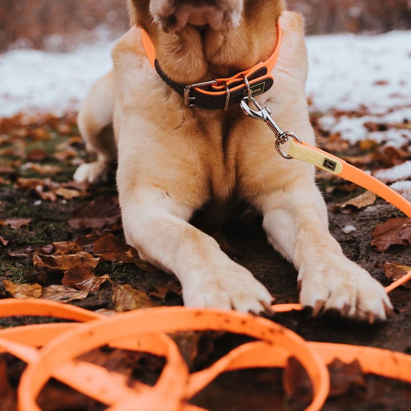 Hunter, Convenience Dog Collar, Made of Innovative Plastic Mix for