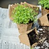 Relaxdays Set of 200 Biodegradable Propagation Pots with Signs, H