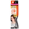 Salon de Pro Color Touch-up For Gray Hair, EX 0.6