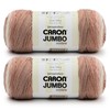 Caron CAR Jumbo Ombre Sepia Yarn - 2 Pack of