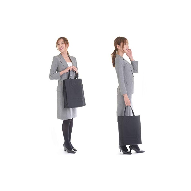 Aurora Nylon Sub Bag, Large, Made in Japan, A4 File