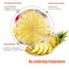 TXDYNLLK Dried Pineapple Slices - Dehydrated Pineapple for Cocktail Garnish,