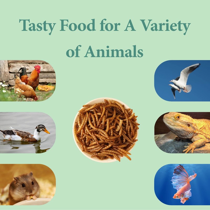 WORMSKING 2LB Dried Mealworms for Poultry, Wild Birds,Tasty Bird Food
