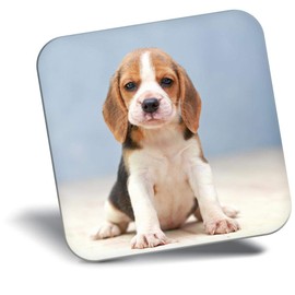 Destination Vinyl ltd Fridge Magnet - Cute Little Beagle Puppy Dog for Office, Cabinet and Whiteboard, Magnetic Stickers, 44787