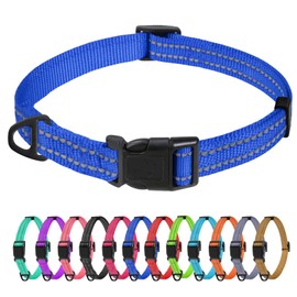 TagME Reflective Nylon Dog Collars, Adjustable Classic Pet Collar with Quick Release Buckle for Extra Small Dogs, Royal Blue, 5/8" Width