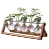 Kingbuy Plant Propagation Station with 5 Bulb Vases Retro Wooden