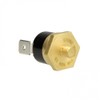 Worcester 87229638580 Temperature limit sensor,