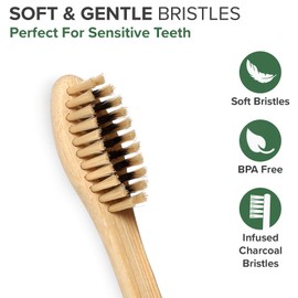 VIVAGO Biodegradable Charcoal Bamboo Toothbrushes Soft Bristles for Sensitive Teeth 10 Pack - Numbered for Easy Recognition - Compostable, Eco-Friendly, Natural, Reusable Wooden Toothbrush