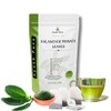 Generic 100 Tea Bag Kalanchoe Pinnata Powder Healthy Pure Leaves