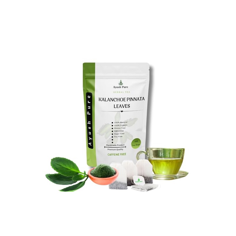Generic 100 Tea Bag Kalanchoe Pinnata Powder Healthy Pure Leaves