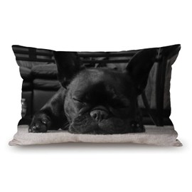 Farmhouse Decorative Outdoor Throw Pillow Covers for Couch Sofa Bed French Bulldog Pillow Cover Modern Decor Pillow Case 12 x 20 Inch Jcp161