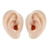 2 Pcs Silicone Ear Model, Fake Ear Models Left and