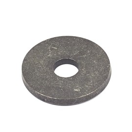 Briggs & Stratton OEM 4313 replacement washer, spring (10 x 1656916