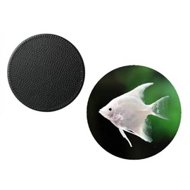 Set Of 4 Platinum Angel Fish Tropical Synthetic Leather Round Coasters And Gift Box