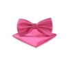 Massi Morino Bow Tie with Hanky Pre-tied Premium Men's Bow