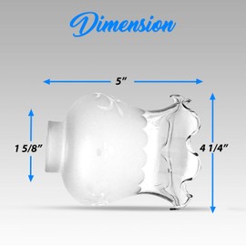 OhLectric Frosted Glass Lamp Shade - Hand Blown Etched Light Shade - Etched Grape Design - Features 1-5/8-Inch Fitter - Replacement Shade for Outdated Or Broken Glassware - Easy to Fix - OL-39162
