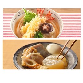 Higashimaru Shoyu Japanese Soy Sauce Udon Soup Stock Base ヒガシマル醤油 うどん スープ 粉末 48g