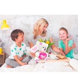 SAESR Teddy Bear for Valentines. Affordable and Cute Teddy for Valentines Day. Romantic and Memorable Valentines Gifts for Her. Perfect Teddy Gifts for Girlfriend and Boyfriend.