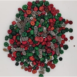 On The Bright Side Mini Putka and Frosted Birch Blend, Good for Christmas Potpourri and Bowl Fillers 4 Heaping Cups, (OTBSRPP35)