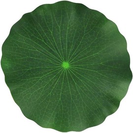 Sluswallow 2Pcs 28cm Lily Pads for Ponds, Artificial Floating Lotus Leaves Fake Foliage Plant Garden Pond Pool Decor Artificial Plants and Flowers
