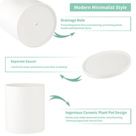 Mozing Ceramic Plant Pots Indoor - Garden Planter Pot for Planting - Modern Flower Pots with Drainage Hole for Home & Office Decor （7x8.5 in Frosted Surface