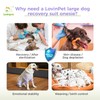 LovinPet Dog Recovery Suit for Large Medium Dogs - Professional