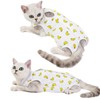 Cat Recovery Suit for Abdominal Wounds or Skin Diseases, Breathable