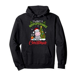 I Want A Hippopotamus For Christmas Xmas Hippo for Kid Women Pullover Hoodie
