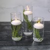 Eastland Glass Cylinder Vases 3 Pack. 7.5" | 9" |
