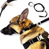 PetsProMax No-Pull Dog Headcollar for Large Dogs (Size L) -