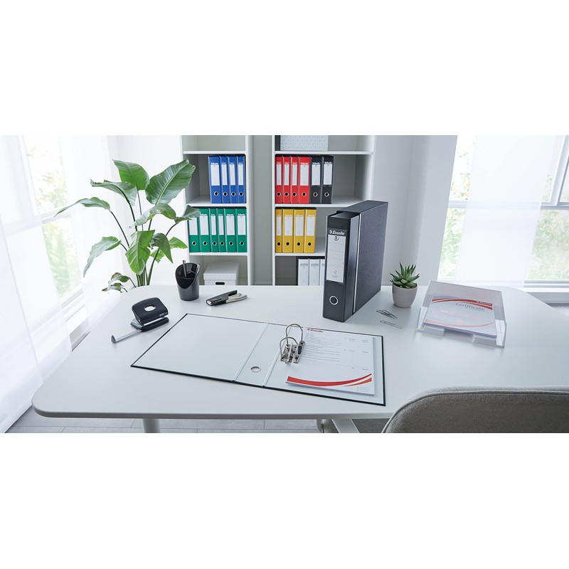 Esselte Eurofile Lever Arch File with Plastic Cover - Protocol