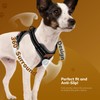 FAYOGOO Dog Harness Medium, No Pull Vest Harness with 2