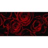 CafePress Red Roses Black Background Aluminum License Plate, Front License