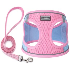 Dog Harness with Lead - Adjustable Reflective Harness for Puppies and Cats from Small, Medium and Large, Pink, Green, S