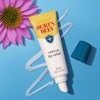 Burts Bees Valentines Day Gifts, Rescue Lip Relief with Shea