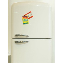 Brainbox Candy Please Ignore The Severed Head Fridge Magnet