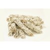 NessaStores California White Sage Smudge Incense 8"-9" Bundle (15 pcs)#JC-10
