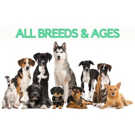 Nutri Mutt Nutri Mutt Multivitamin Treats for Dogs - Glucosamine Chondroitin for Joint Support + Digestive Enzymes & Probiotics - Grain Free Dog Vitamin for Skin & Coat + Immune Health - Chicken Flavor - 120ct