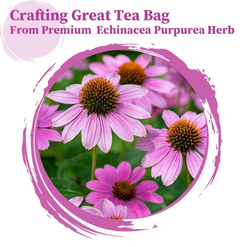 FullChea - Echinacea Tea Bags, 50 Count, 2g/bag - Premium