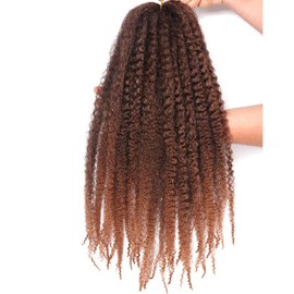 Marley Twist Braiding Hair 3 Packs 18 Inch Afro Kinky Curly Hair Extension Synthetic Crochet Braids (T30#)