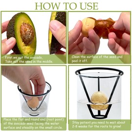 Avocado Vase, Avocado Seed Starter Vase with Wood Multicolor LED Light Base, Avocado Growing Kit with Plant Support, Acorn vase, propagation stations for Forcing Hyacinth and Tulip Bulbs(Black)