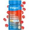 Wellgard Vegan Vitamin B12 Gummies – High Strength B12 Supplement