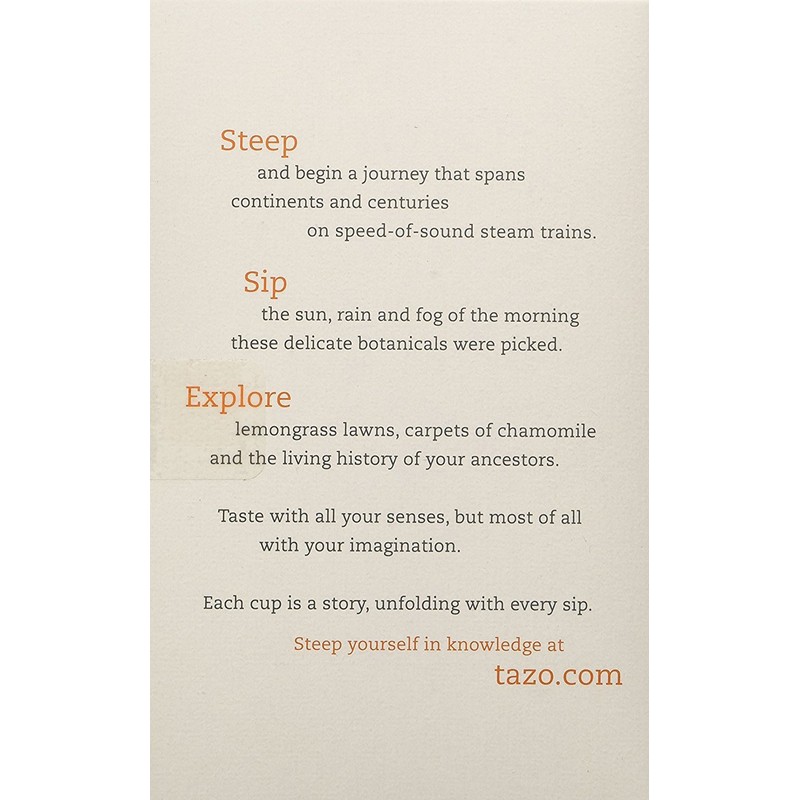 Tazo Chai Pumpkin Spice :: Box of 20 Teabags (2