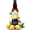 Lumi Outdoors Natural Shoe Deodorizer Spray & Odor Eliminator -