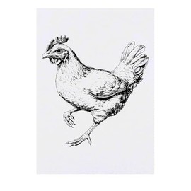Azeeda 'Hühnerrennen' Temporäres Tattoo - Hautfreundlicher & Ungiftiger Abziehbild · Wasserfest (TO00077075)