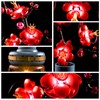 YEABRICKS LED Light for 10369 Icons Plum Blossom Building Blocks