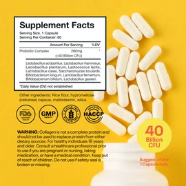 Probiotic 40 Billion CFU Supplement, 10 Strains Probiotic Complex for Digestive, Gut & Immune Support, Daily Probiotics for Women & Men, 60 Capsules