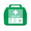 LEWIS-PLAST Premium Small HSE 10 Person Polypropylene First Aid Box